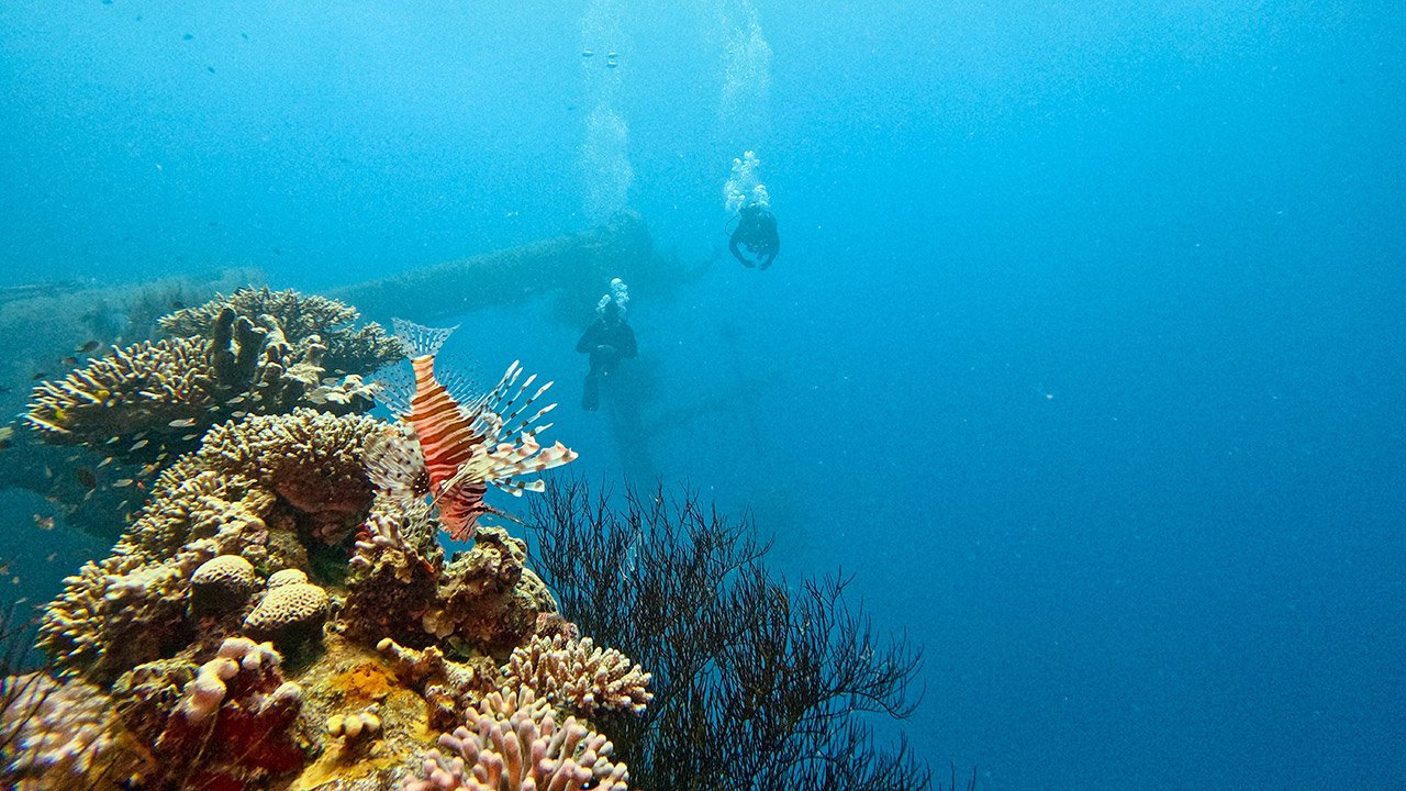 Cedar Pride wreck in Aqaba