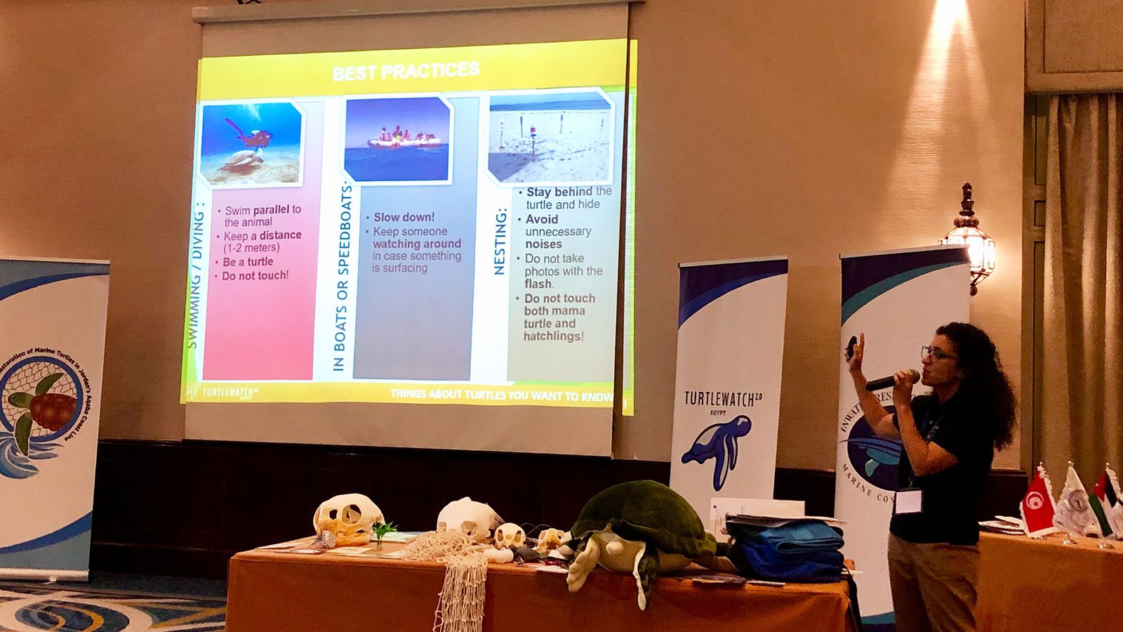 Turtle conservation training in Aqaba